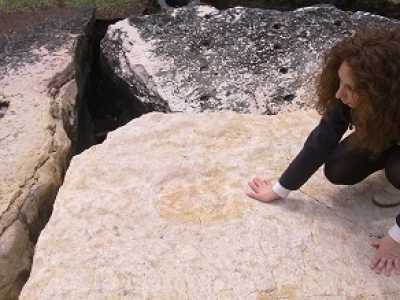 Orme di  sauropode e teropode a Torre a Mare
